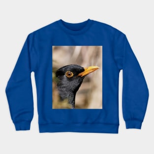 r700/  an Attentive Blackbird - Merle Attentif ! " Les Oiseaux du jardin " simply life " to Okaio Créations - Olavia-Olao Crewneck Sweatshirt